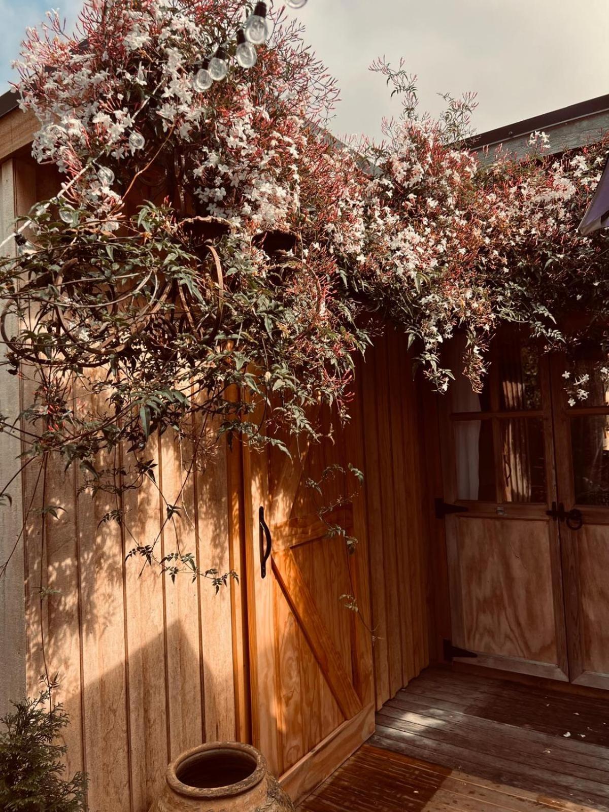 Piccola Casa Fiorita 호텔 마운트마운가누이 외부 사진